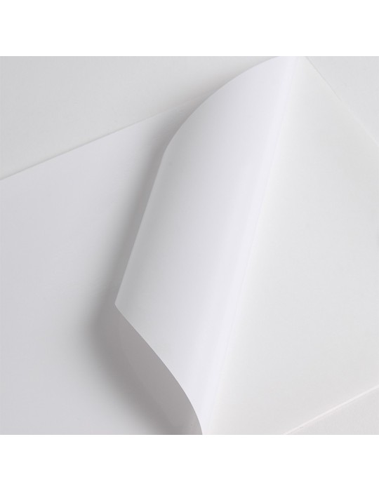 HX3001WG2 - Blanc Brillant adh permanent incolore